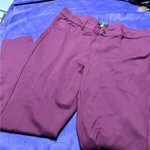 Dictionary Brand Blum Pants - stretch style size 16